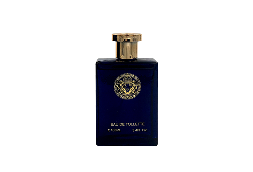 Versatile Pour Homme Blue Cologne for Men 3.4oz/100ml EDT